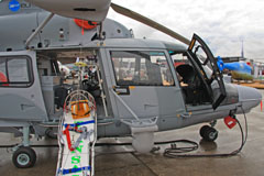 EC565 Panther