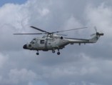 Lynx