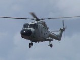 Lynx