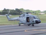 Lynx