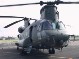 Chinook