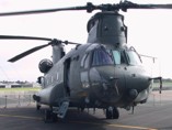 Chinook
