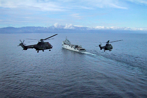 Hélicoptères Cougar de l'Armée de Terre (ALAT)