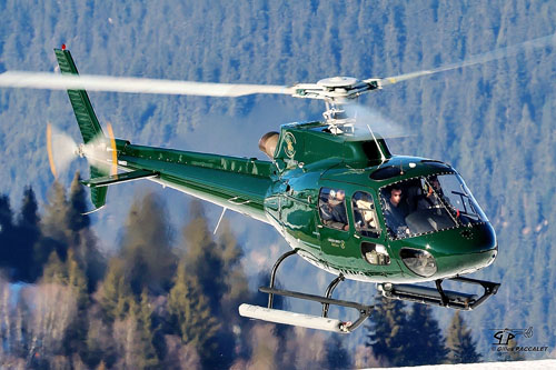 Hélicoptère AS350 B2 Ecureuil F-HAHG Green Bees Helico