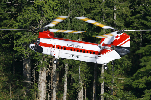 Le Boeing 234 Chinook C-FHFB d'Helifor lors d'une opération de levage au Canada