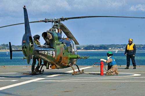 Chien jaune et chien bleu