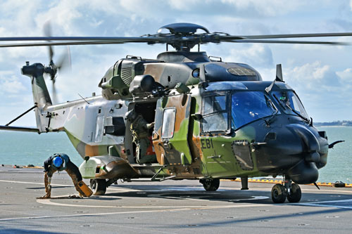 Le chien bleu enlève les saisines