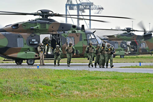 Commandos brésiliens