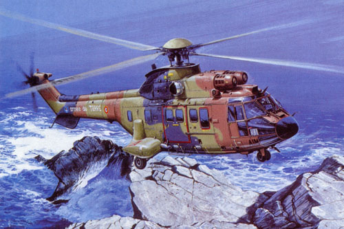 Hélicoptère AS532 Cougar de l'Armée de Terre française (ALAT)