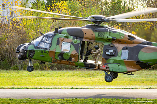 Hélicoptère NH90 TTH Caïman ALAT