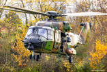 Hélicoptère NH90 TTH Caïman ALAT
