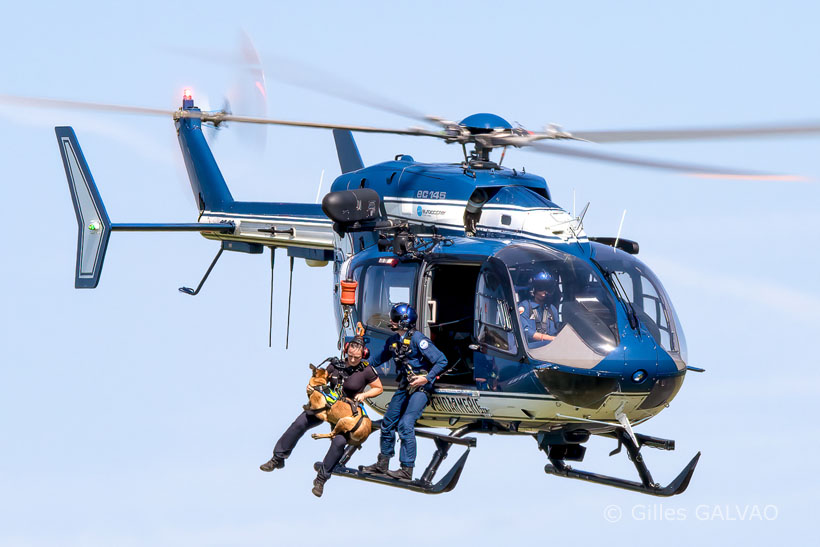 Hélitreuillage d'un binôme K9 à bord d'un hélicoptère EC145 de la Gendarmerie Nationale