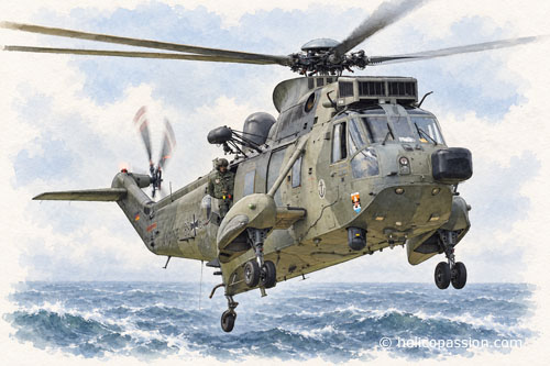 Hélicoptère Seaking