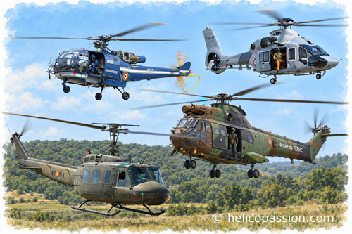 Des appareils de différentes générations réunis pour illustrer la chronologie des hélicoptères présentés sur Helicopassion