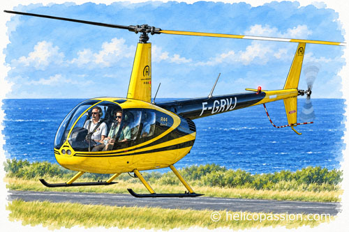 Hélicoptère Robinson R44