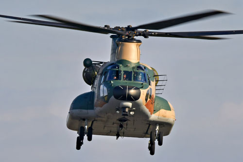 CH-47J Chinook de la JASDF en vol à Iruma, Japon