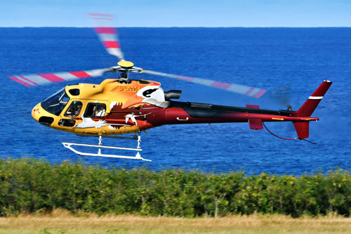 Hélicoptère H125 (AS350 B3E Ecureuil) F-OMAB (Paille en queue)