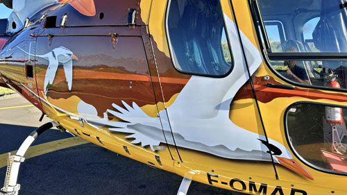 Hélicoptère H125 (AS350 B3E Ecureuil) F-OMAB (Paille en queue)