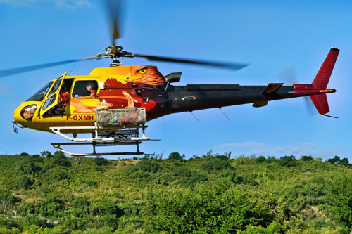 Hélicoptère H125 (AS350 B3E Ecureuil) F-OXMH (Papangue)