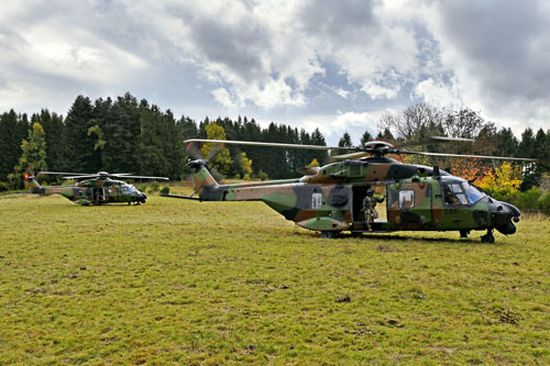Les deux hélicoptères NH90 se posent à proximité du village